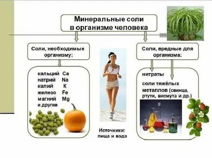 Значение минеральных солей для организма