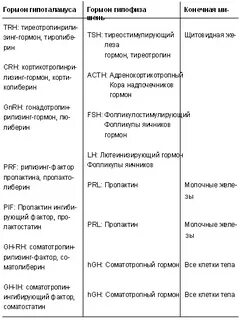 Название гормонов гипоталамуса