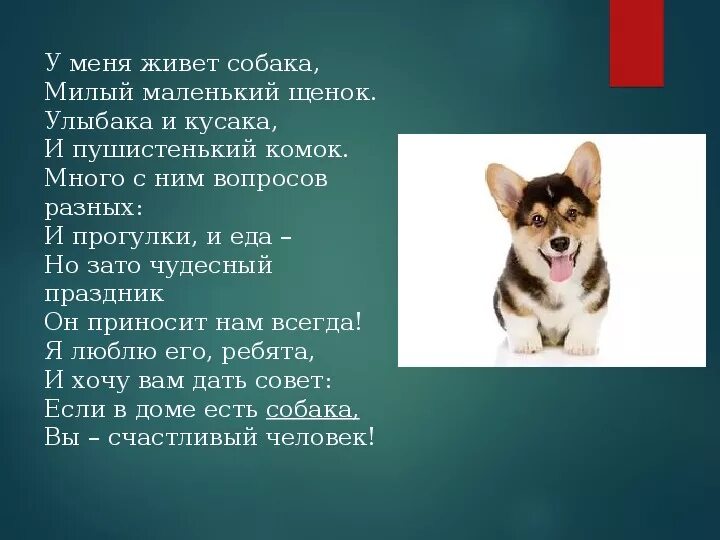 Песня хочу собачку