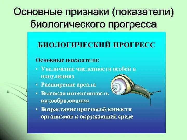 Направления биологического прогресса примеры. Показатели биологического прогресса. Признаки биологического прогресса. Назовите основные признаки биологического прогресса. Признаки биологического прогесс признаки.