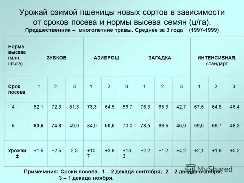 Норма высева озимой пшеницы на га