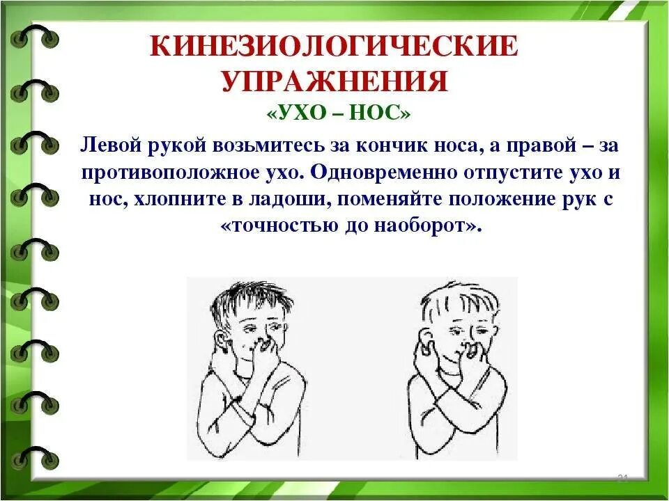 Развитие мозга упражнения. Кинезиологические упражнения ухо нос. Кинезиологические упражнения для детей с ЗПР. Кинезиологические упражнения для детей дошкольного возраста. Пальчиковые кинезиологические упражнения гимнастика мозга.