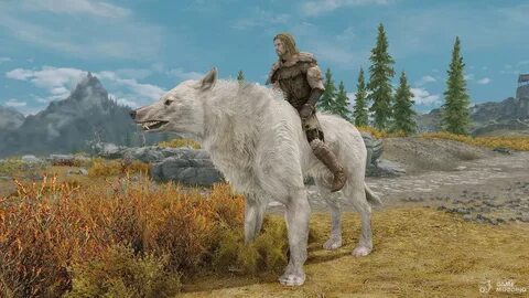 Hunt other