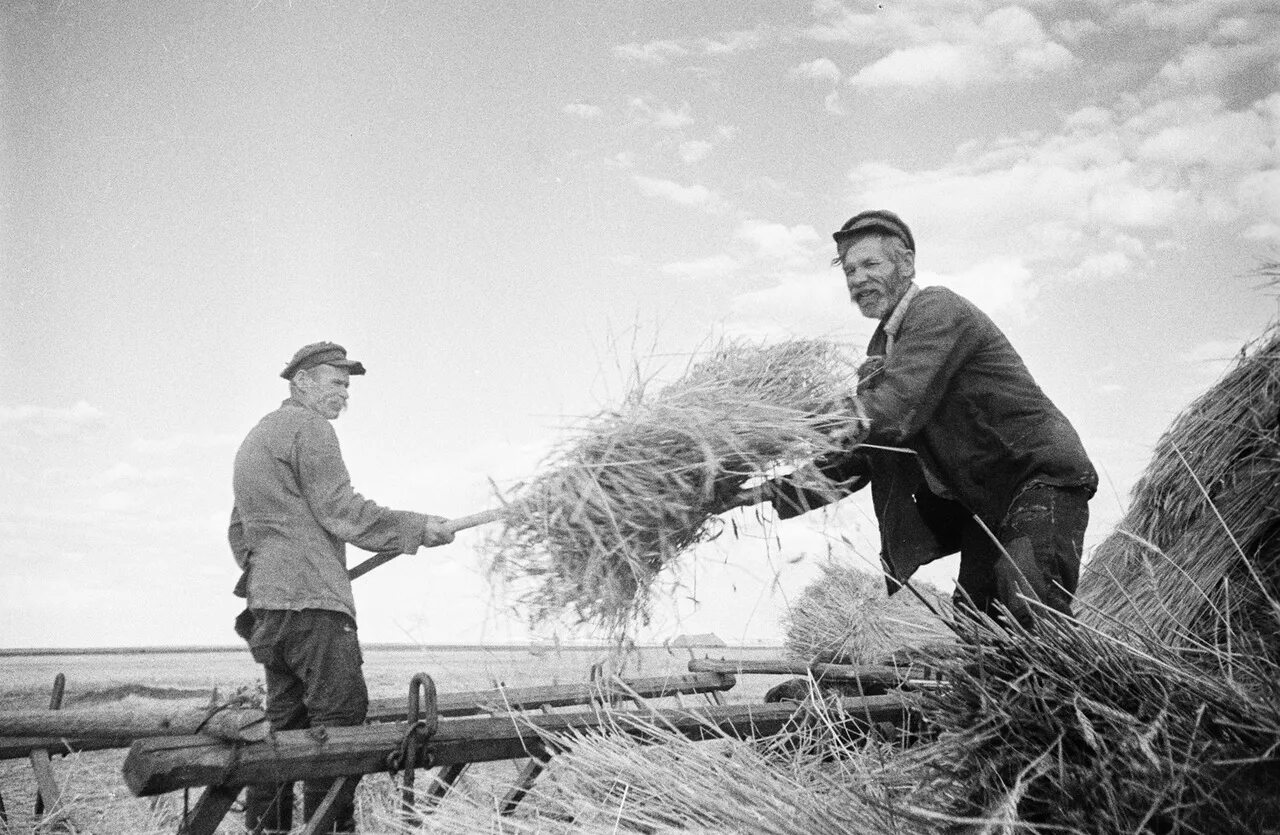 Крестьяне ссср. Совхоз ссср. Советские люди обедают в поле. Колхоз имени ленина волгоградская область. Колхоз в ссср в 30-е годы.