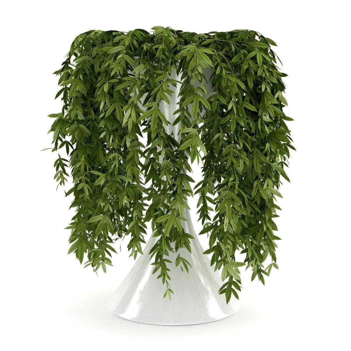 суккуленты висячие крестовник. традесканция микс. плющ глициния. папоротник нефролепис. цветок со свисающими листьями.