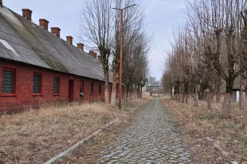 Погода в ясное славский район. Поселок Городково Калининградской области. Поселок Долгоруково Калининградская область. Поселок Ясная Поляна Калининградской области. П.ясное Славский район Калининградская область.