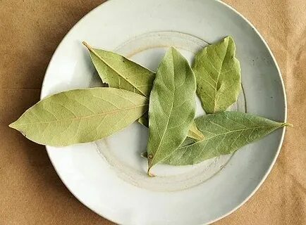 Лавровый лист диабетику