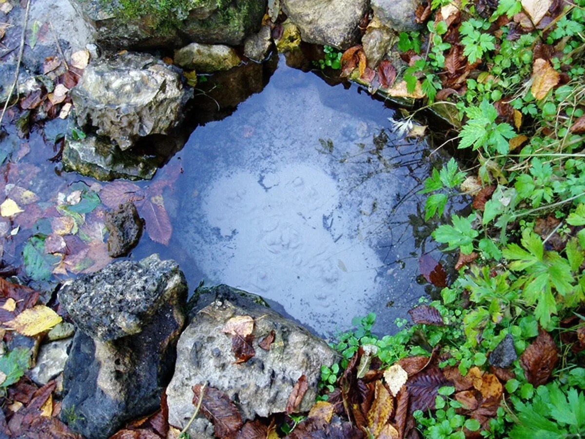 Родниковая вода вода родника. Родник ааштопф Германия. Природный Родник. Источник воды. Вода Родники.