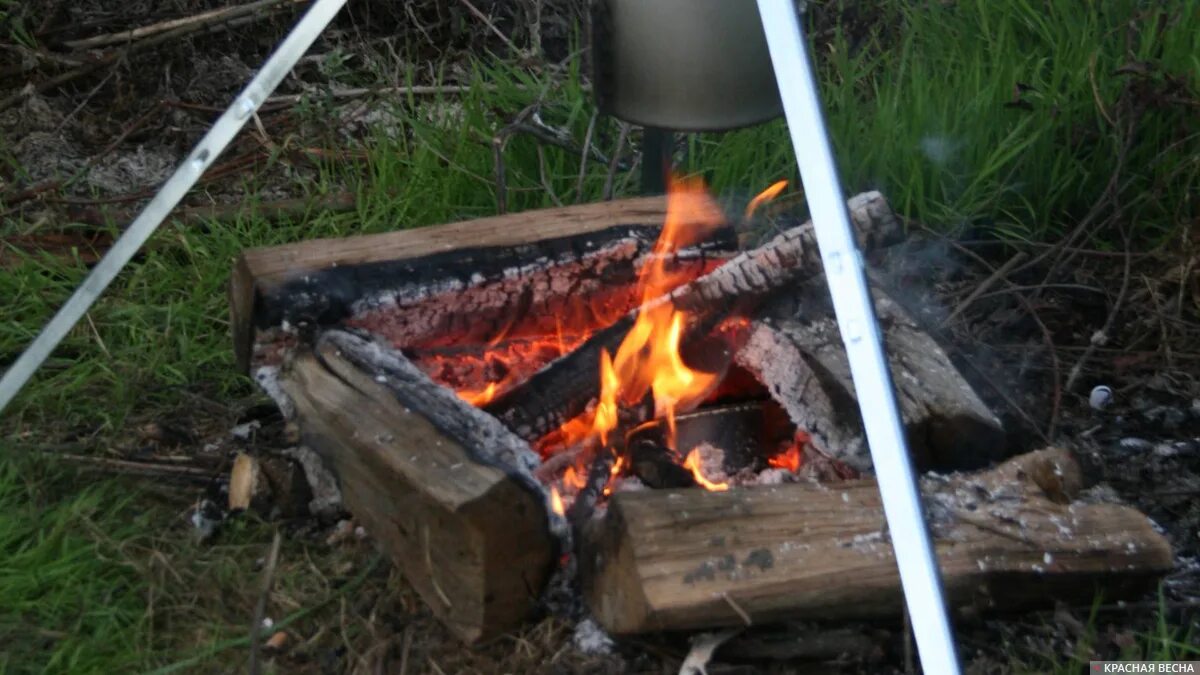 Полено для костра. Барбекю на природе. Шашлык на огне. Барбекю на природе. Разведение костров мангале.