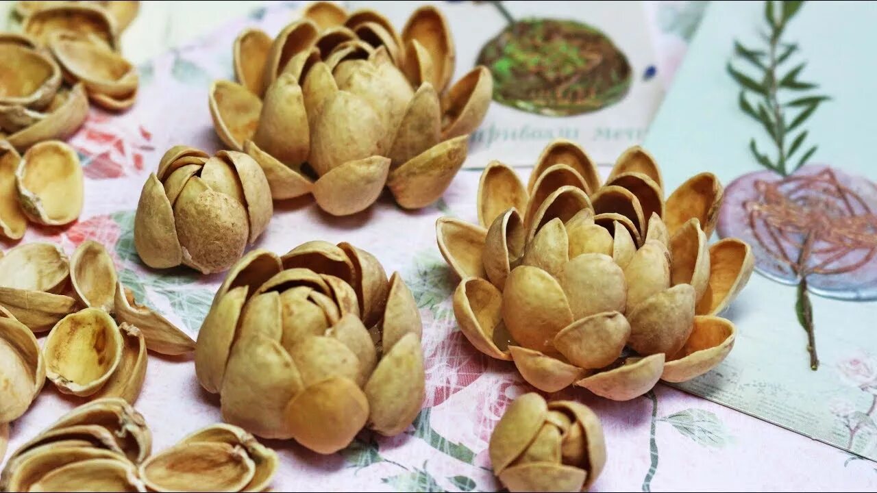 Фисташковые скорлупки