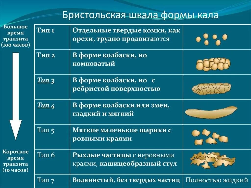 Запор у мамы при грудном. Бристольской шкале формы кала. Бристрльская шкала нормы кала. Форма стула по Бристольской шкале. Бристольская шкала формы кала таблица.