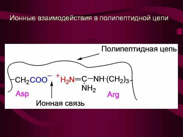 Ионные взаимодействия в белках. Ионные взаимодействия между аминокислотами. Ионные взаимодействия вещества и сорбента. Связи в полипептидной цепи.