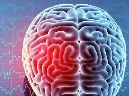 Small brain
