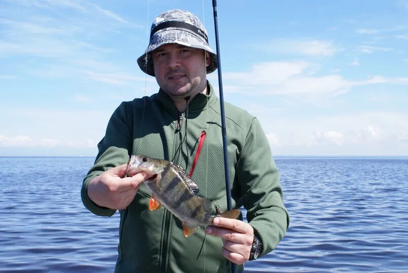 Рыбалка на рыбинке. Рыбинское водохранилище рыбалка. Рыбинское водохранилище рыба. HS,jkjdtwrfz ,FPF xtcyfdf YF HS,bycrjv DJLJ[hfybkbot. Лещ Рыбинское водохранилище.