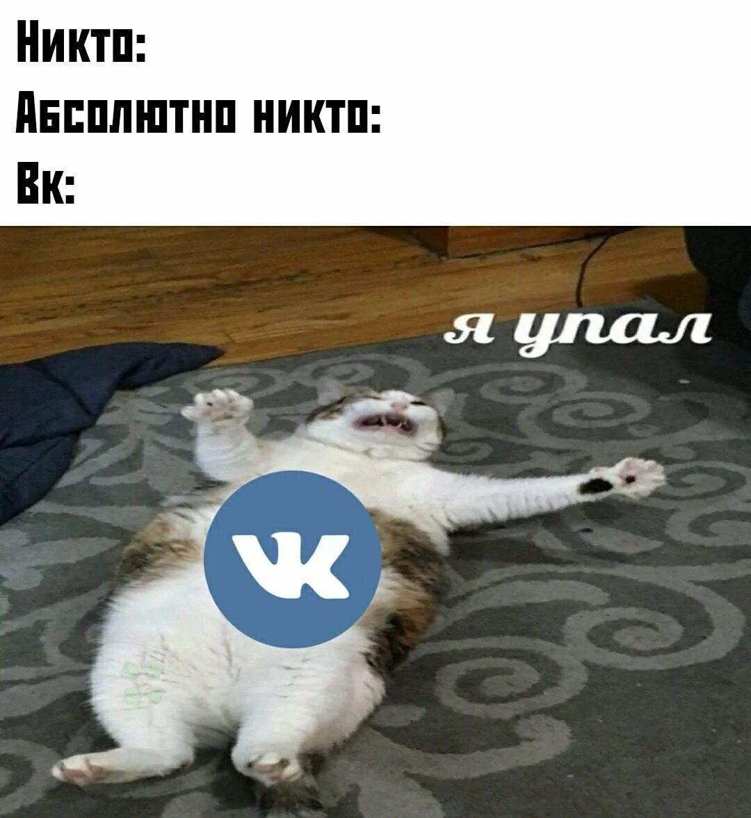 Упавший кот мем. Кот я упал. кот упал мем. я упал мем. я упааал мем.