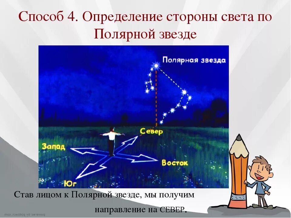 Куда определение. Способы определения сторон света. Как определить стороны све.