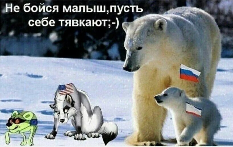 Все боятся россии. Шавка тявкает. Шавка хватит тявкать. Россия медведь и тяфкают шафки. Шавки тявкают на Путина.