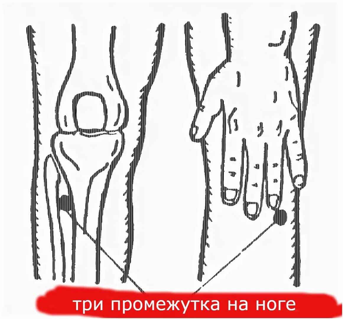 Точки долголетия» - Цзу-Сан-ли – е36. Цзу-Сань-ли точка долголетия. Точка Цзу Сан ли точка долголетия. Цзу-Сань-ли (е36).