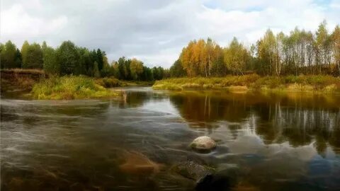 Река загроможденная белыми