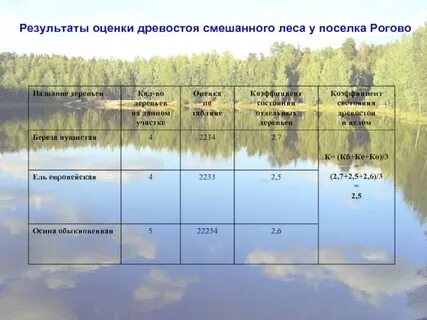 Чистое и смешанное