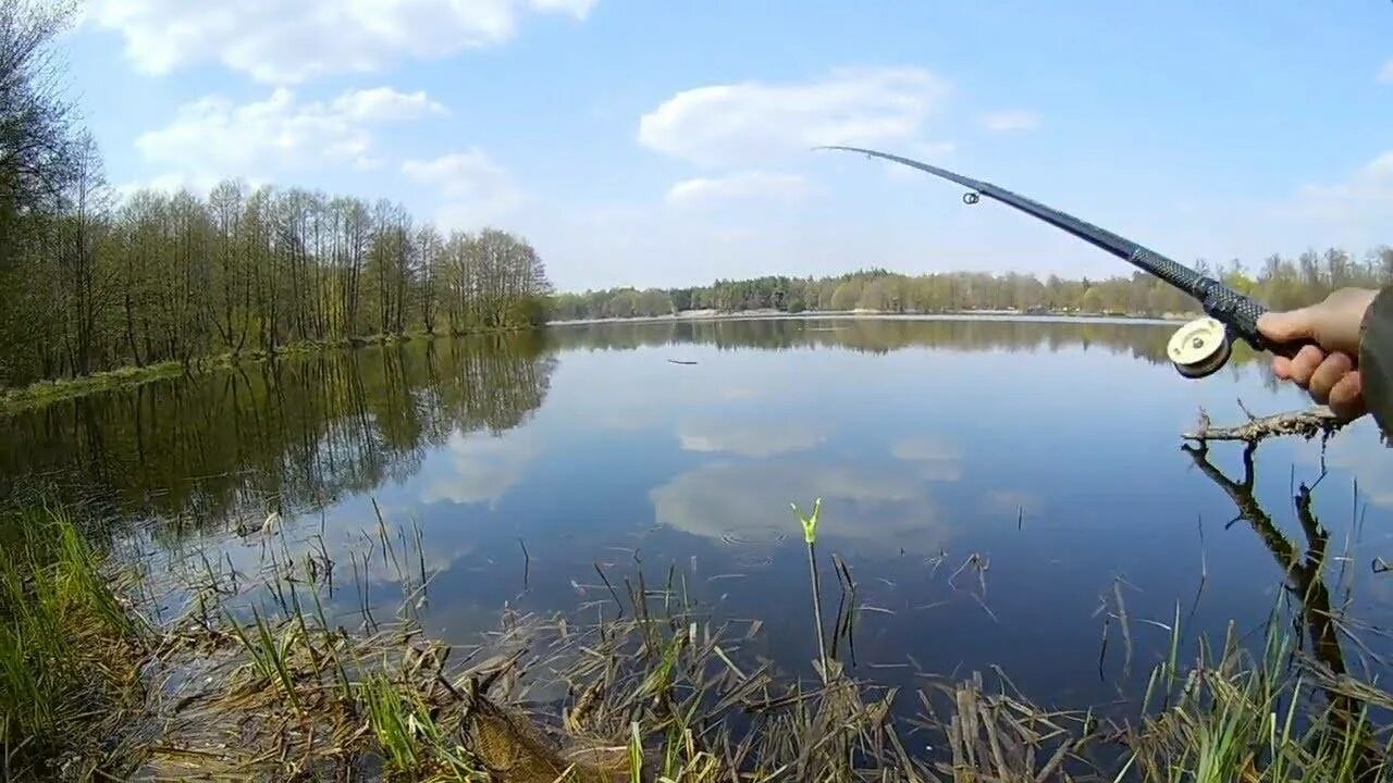 Можно ли ловить в прудах в запрет