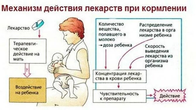 Препараты при кормлении грудью. Таблетки при головной боли при гв. Период вскармливания ребенка. Что можно от головы при грудном вскармливании маме.