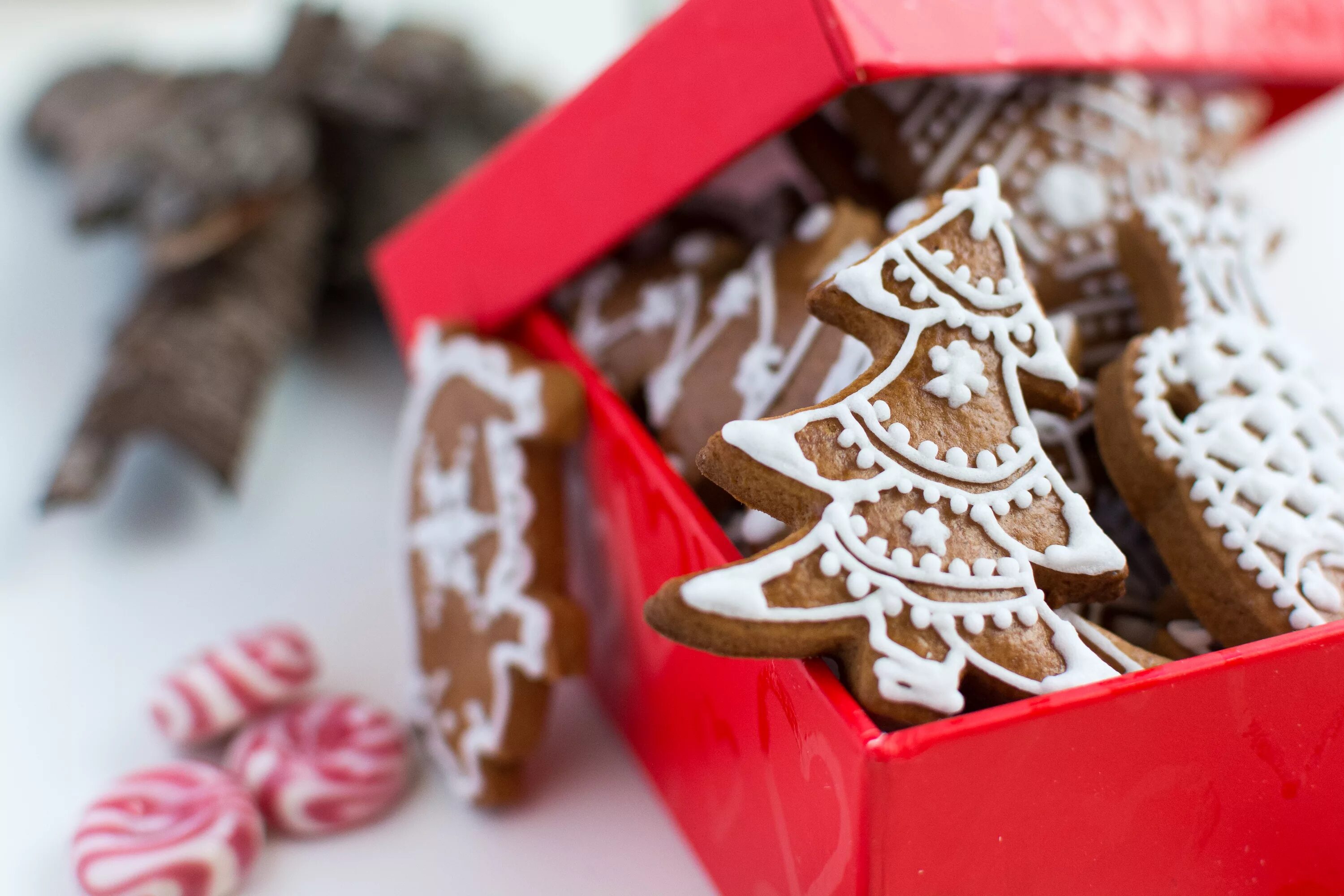 Печенье нового. Имбирные пряники Lebkuchen. Рождественское печенье. Новогодние пряники. Пряники на Рождество.