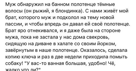 Родственники мужа истории