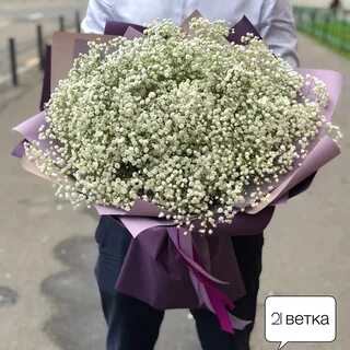 Сколько живут гипсофилы букет