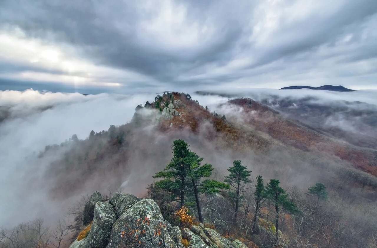 Первозданный край. Сопка туманная Приморский край. Природа Приморского края сопки. Сопка туманная Приморский край фото. Море на Дальнем востоке с сопками.