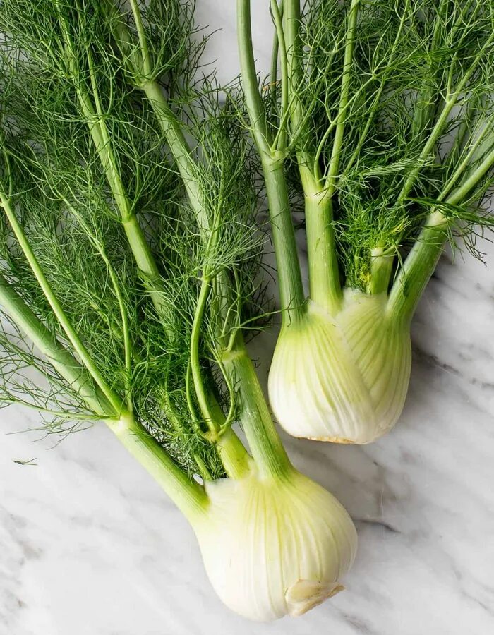 Fennel Rezene. Фенхель. Фенхель луковица. Фенхель обыкновенный Лидер. Фенхель в открытом грунте