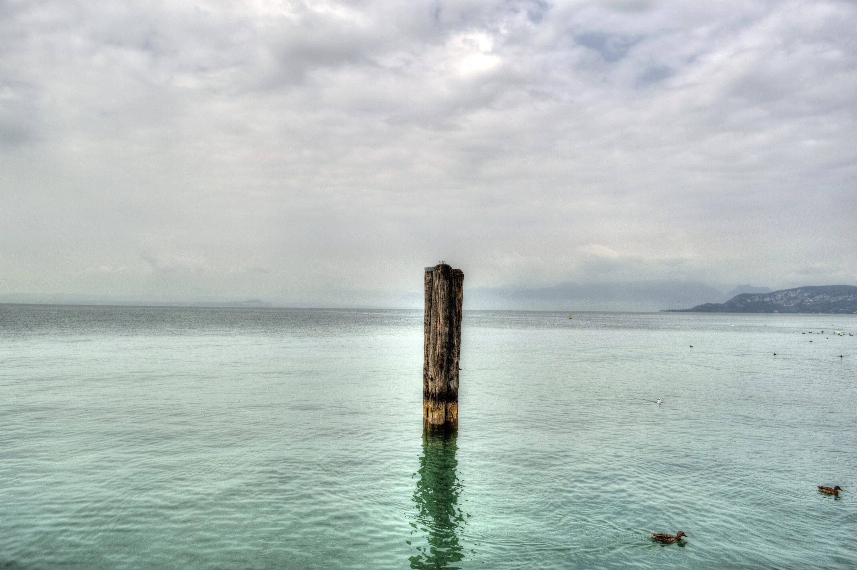 Waters columns