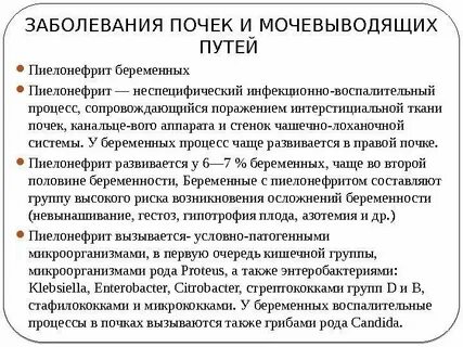 Инфекция мочевыводящих путей причины