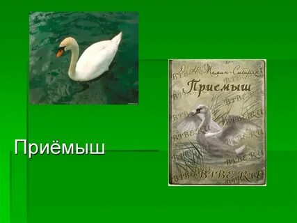 Какой лебедь из рассказа приемыш