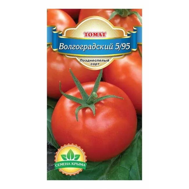 Томат волгоградский скороспелый урожайность. Волгоградский томат 5/95 красный. Сорт томатов Волгоградский 5/95. Волгоградский помидор 5/95 описание. Томаты Волгоградский 5/95 описание сорта.