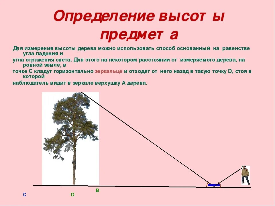 Получить высоту. Измерение высоты предмета. Способы измерения высоты дерева. Определить высоту предмета. Определение высоты предмета.