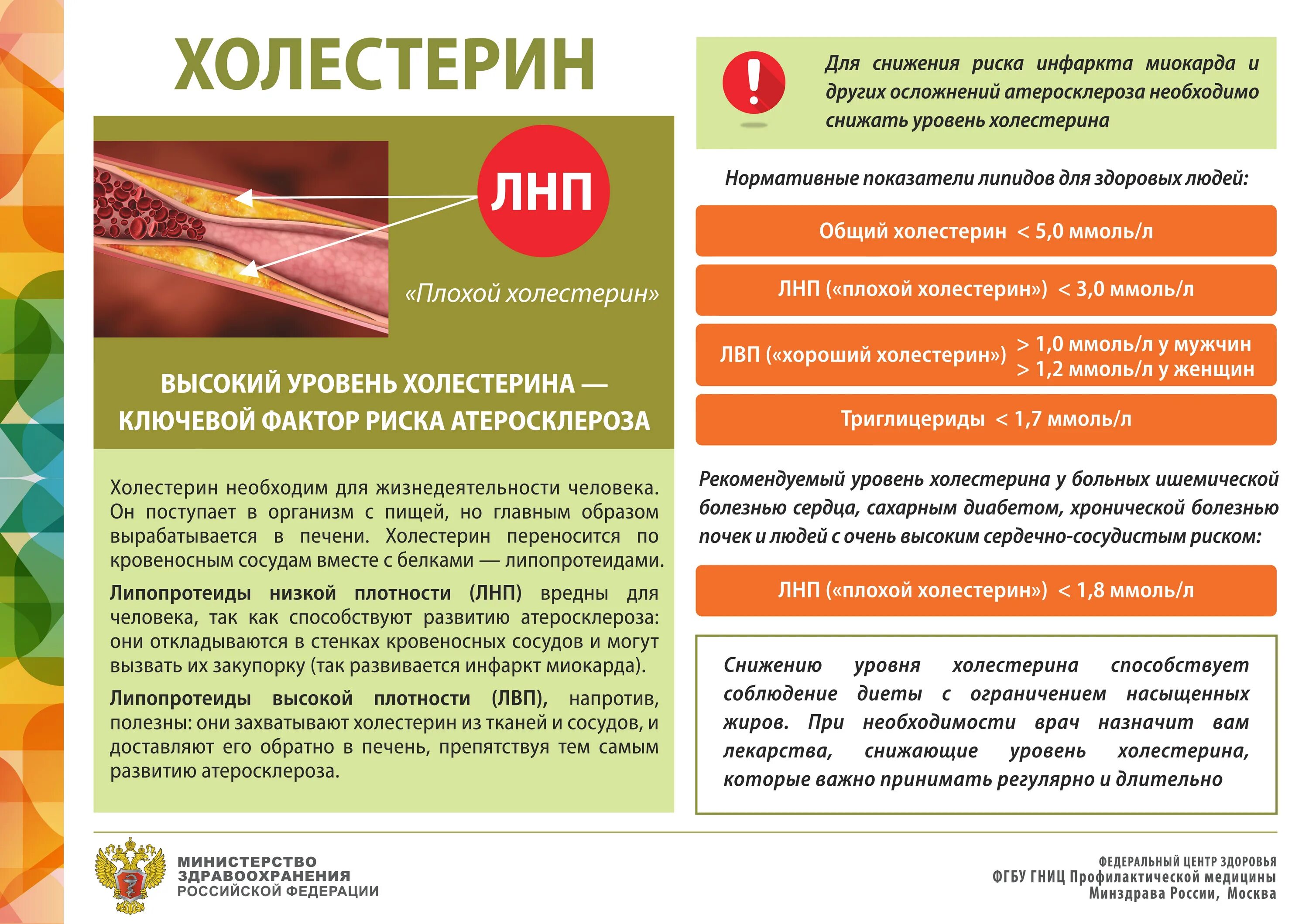 Уменьшение холестерина в крови. Памятка для снижения холестерина. Памятка для пациентов с высоким холестерином. Памятки для больных холестерин. Профилактика высокого холестерина.