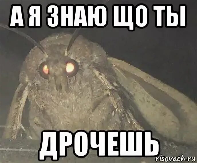 Мем а я знаю что ты. Мем а я знаю что ты. Мем а я знаю что ты дрожишь. Знаю что ты делал прошлым летом. Мем а я знаю что ты дрожишь.