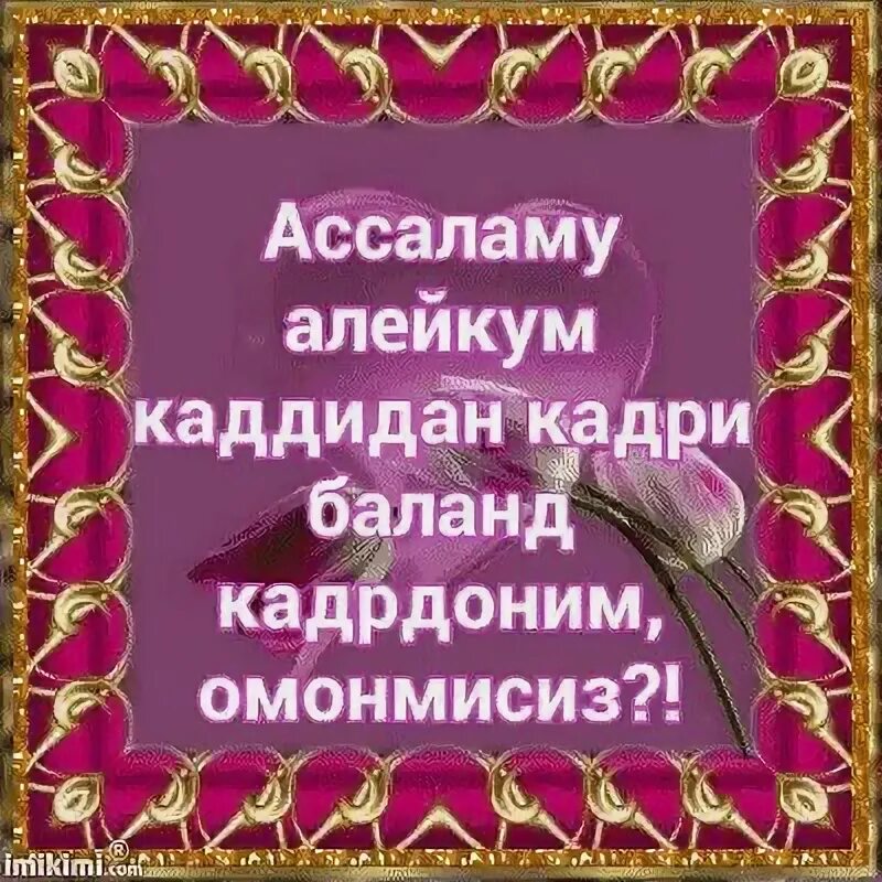 Что ответить на ассаламу алейкум. Ассаламу алейкум картинки. Ассаламу алейкум она. Дуслар Ассаламу алейкум. Открытки Ассаламу алейкум.