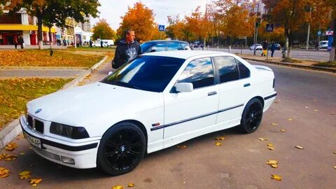36 бел