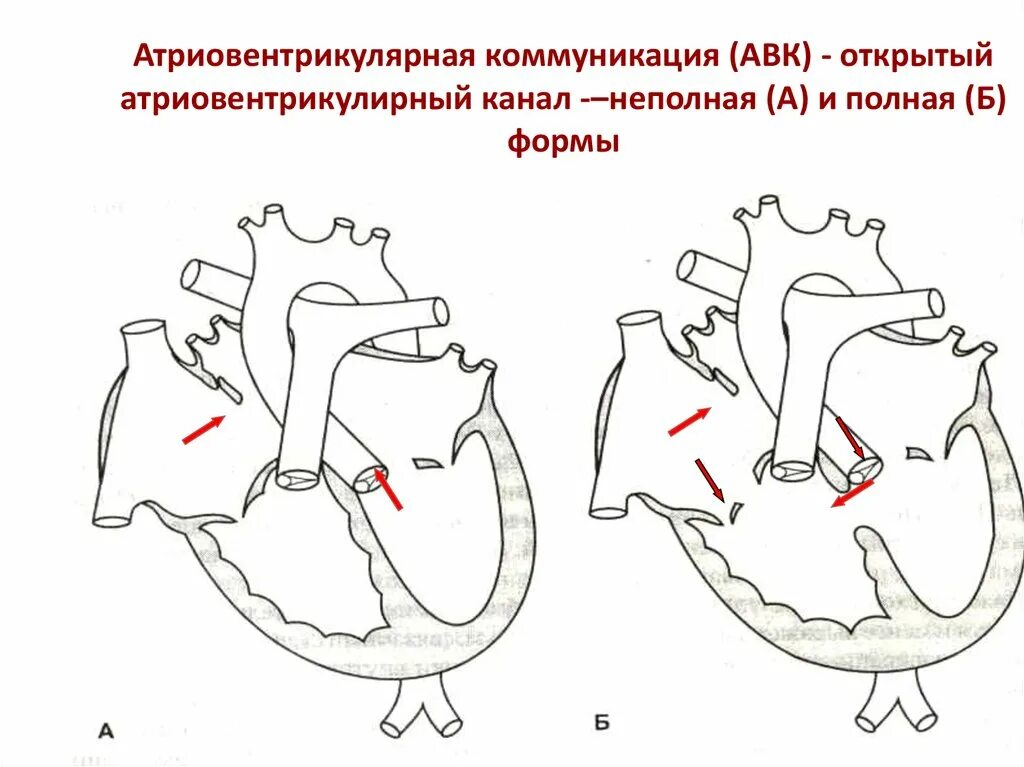 Впс сервис