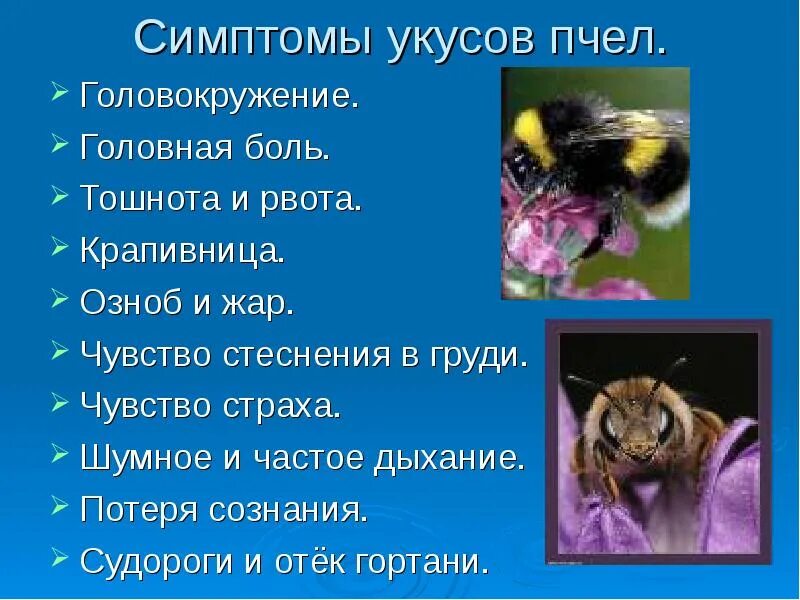 Укусы животных презентация.