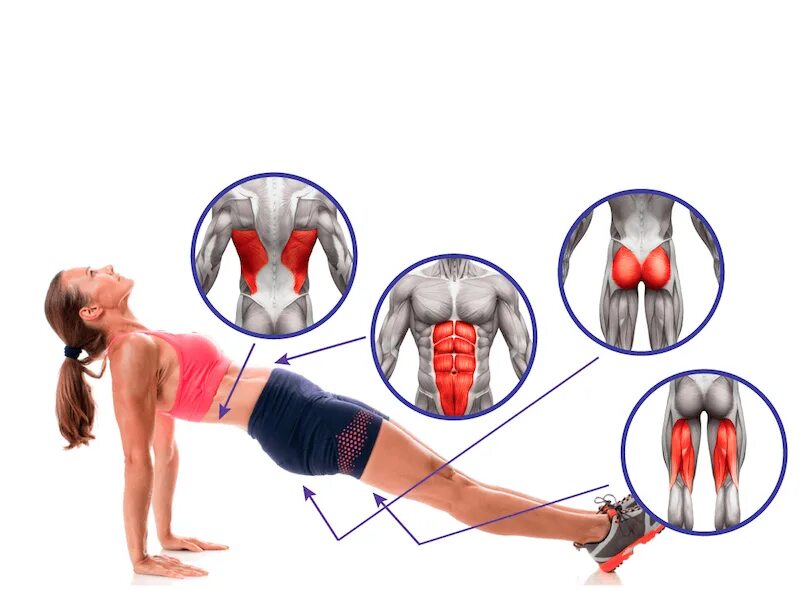 Планка упражнение для ягодичной мышцы. Планка для мышц ягодиц. Планка на руках группы мышц. Упражнения для подтягивания ягодиц. Подтяжка задней