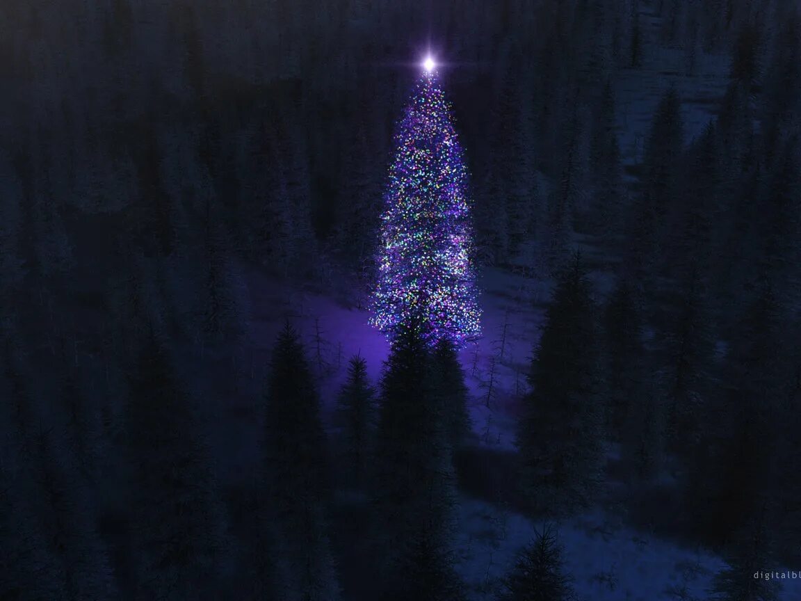 Новогодняя елка. Нарядная елка в лесу. Наряженная ель в лесу. Зимний лес ночью. Елка зимой.