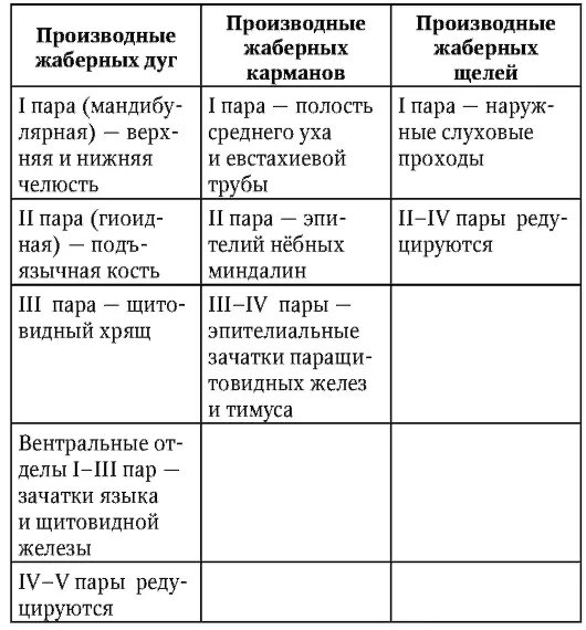 Жаберные дуги эмбриона человека. Висцеральные жаберные дуги. Первая и вторая жаберные дуги и их производные. Производные жаберного аппарата. Первая и вторая висцеральные дуги их производные.