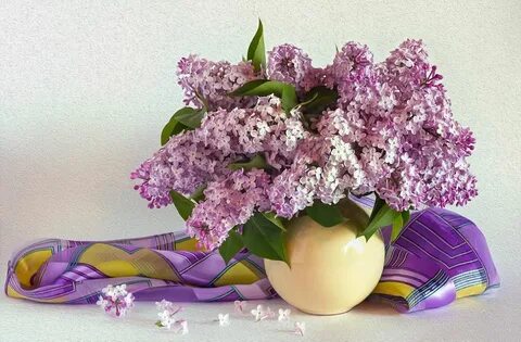 Букет сирени песня