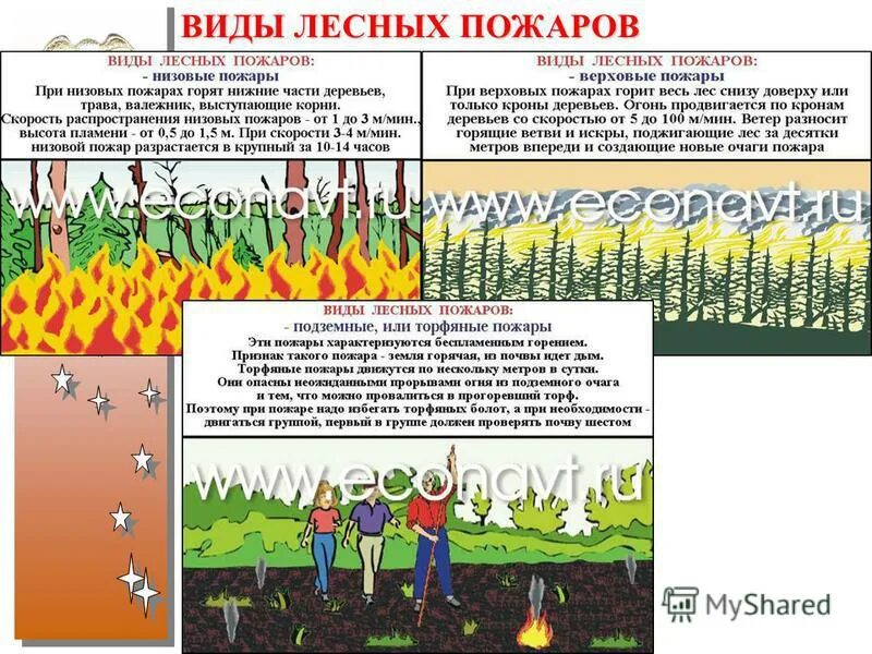 разновидности лесных подаро. классификация лесных и торфяных пожаров по силе. виды лесных пожаров. виды лесных пожаров действия при лесном пожаре. виды лесных пожаров действия при лесном пожаре.