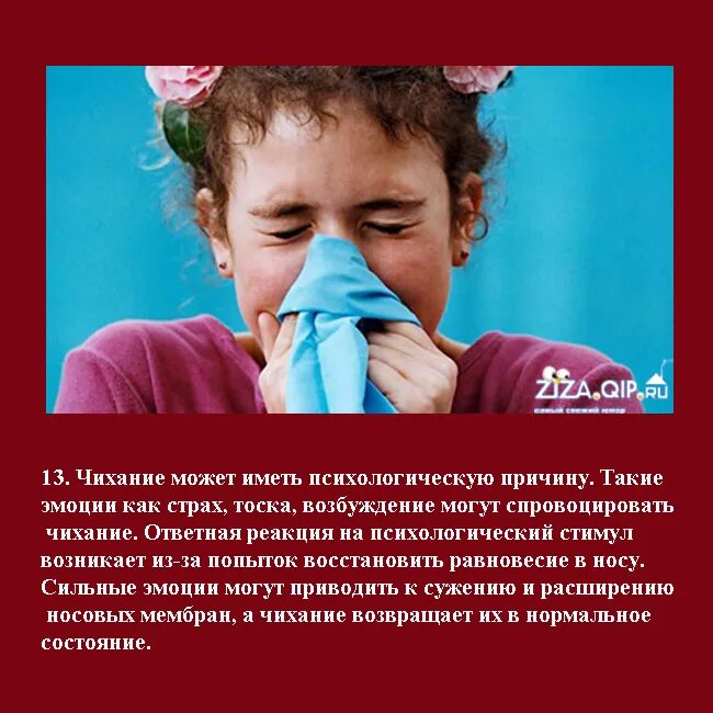 Интересные факты о чихании. Интересные факты о чихании и кашле. Насморк. Факты о чихание. Рингтон чихание на смс