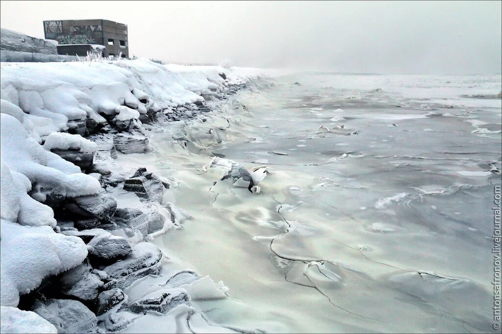 Замерзают ли озера. Баренцево море льды. Замерзшее море. Море зимой. Незамерзающие моря.