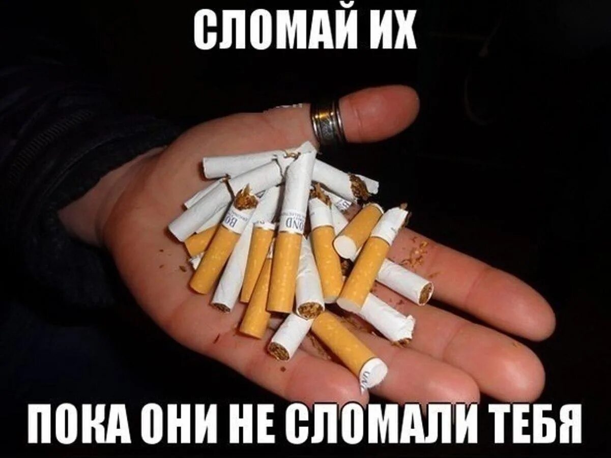 Сигареты шутка. Шутки про сигареты. Приколы про сигареты в картинках. Мемы про сигареты. Сигарета.